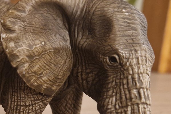 Elefant