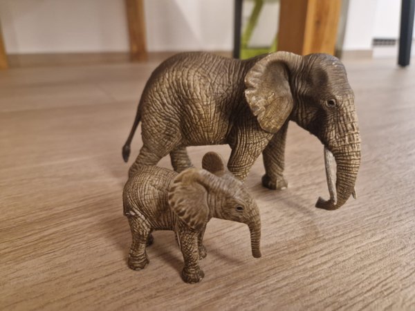 Elefant