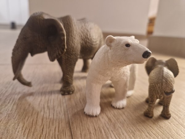 Eisbär