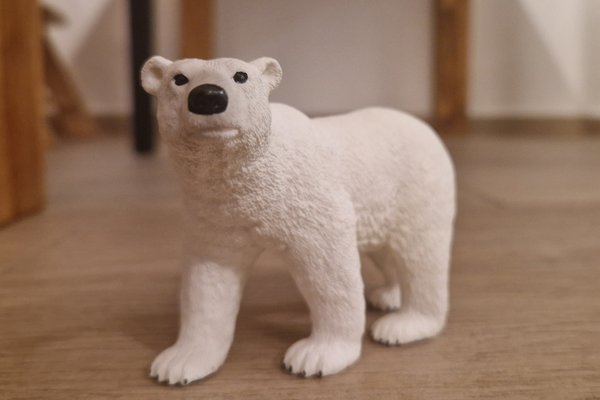 Eisbär