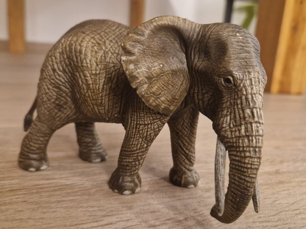 Elefant